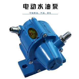 晶体管电动油泵水泵柴油泵12V24V货车汽车外置循环油泵自吸油泵