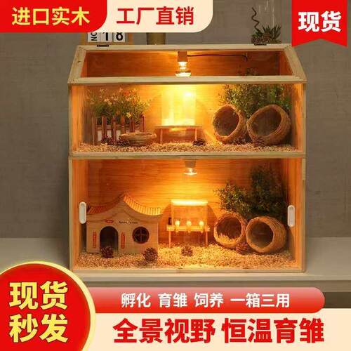 芦丁鸡宠物饲养箱保温箱幼鸡笼子育雏造景小屋全套卢丁鸡养箱恒温