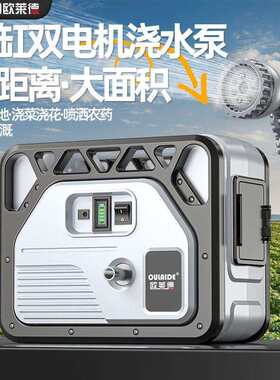 欧莱德锂电充电式抽水泵自动淋菜浇菜浇水机神器新