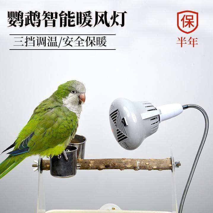 鹦鹉取暖器宠物保温灯暖风灯玄凤虎皮牡丹恒温灯过冬神器鸟保暖灯,宠物/宠物食品及用品,鸟禽其他,淘宝优惠券,粉丝福利购,淘宝优惠卷