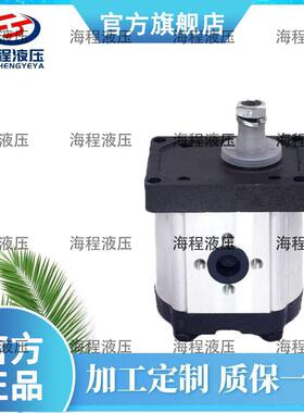 A42X 5129488 出口齿轮泵