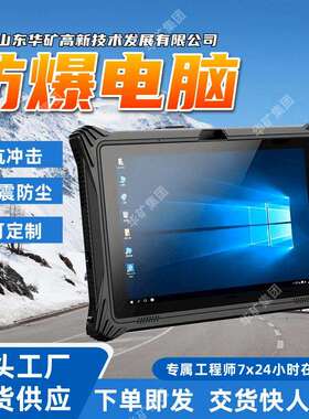 抗冲击防爆电脑 安全可靠防爆电脑 YHX-120EC防爆电脑