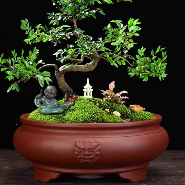 宜兴紫砂花盆大口径桌面花卉精品圆形阳台盆景盆室内假山老桩特