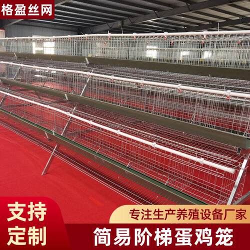 蛋鸡笼养鸡场层叠阶梯式家用养殖笼白食槽绿食槽热镀锌A型蛋鸡笼