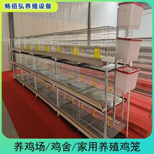 可供外贸 肉鸡笼H型框架笼鸡舍养殖鸡窝镀锌工艺层叠式