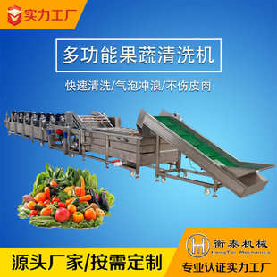 全自動果蔬氣泡清洗機 商用果蔬氣泡清洗機 圣女果清洗設(shè)備 連續(xù)式