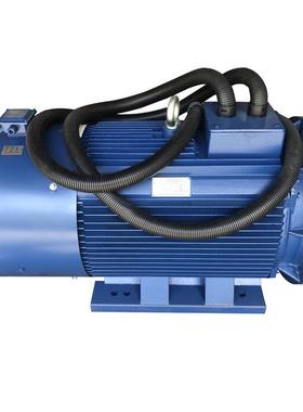 TP315L8-15-/变185KW TYC4极Y185千瓦频启JWC动高效三相稀土永磁