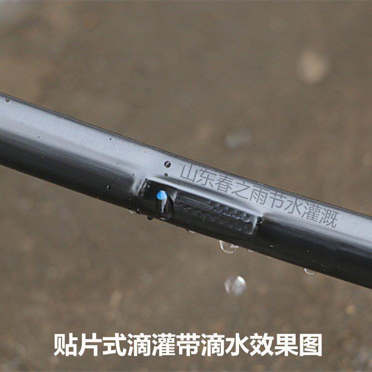 16mm内镶贴片式滴灌带pe单双孔滴管农用大棚蔬菜膜下滴水节水灌溉