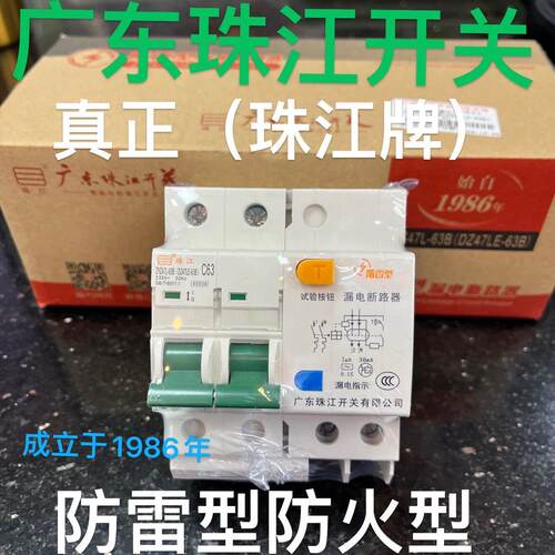 广东珠江开 关DZ47LE双极63A防雷防火型珠江漏电开 关断路器漏保