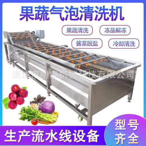草莓果蔬气泡清洗机桑葚蓝莓清洗风干线辣椒洗菜机酱菜加工设备