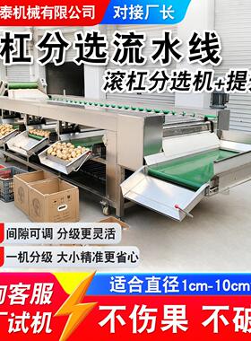 黑布林李子杏子分果机商用不锈钢滚杠式分选机油桃脆桃分选流水线