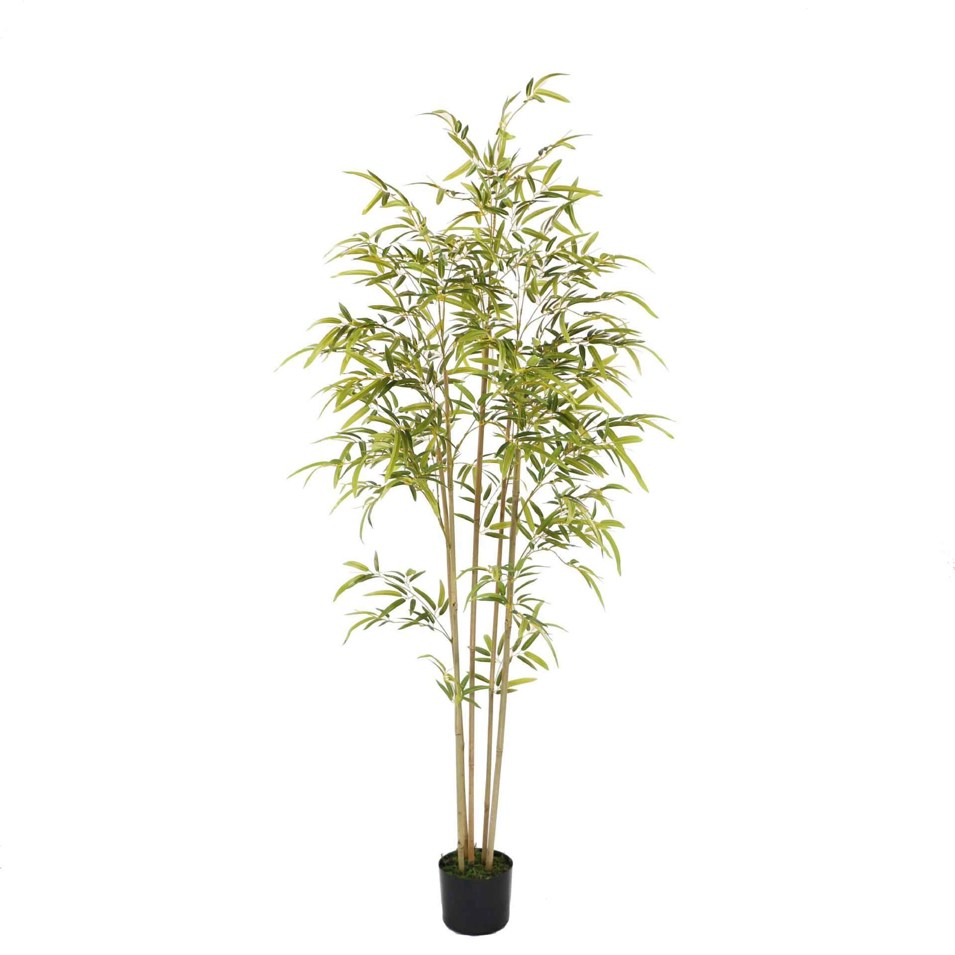 仿真竹子假竹子细水竹毛竹室内装饰绿植盆景盆栽造景植物手感竹叶