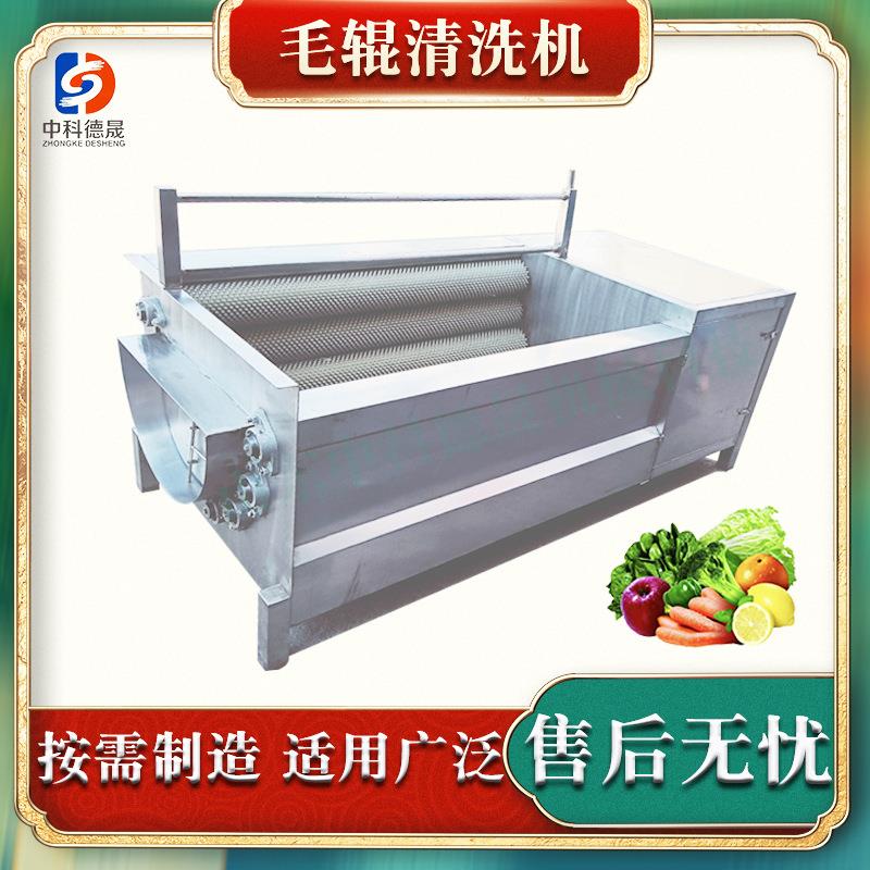 中科德晟全自动不锈钢除泥除沙去皮果蔬净菜成套设备毛辊清洗机