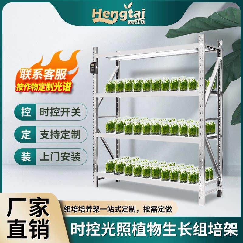 冷轧钢组培架植物光照培养架实验室育苗架室内一体式种植照光架