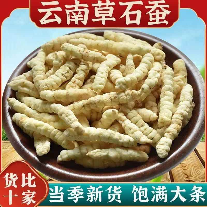 草石蚕白虫草地蚕虫草参大货零售 袋装罐装规格电商齐全 一件