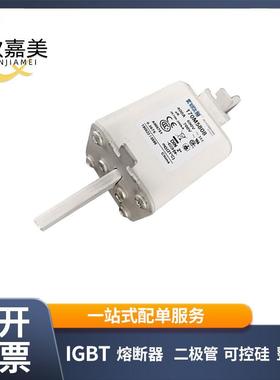 170M5808 170M5809 快速熔断器 保险丝 电子元器件 量大价优