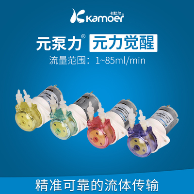 卡默尔蠕动泵泵头12v电机流体泵实验室泵水泵卡川尔KFS微型循环泵