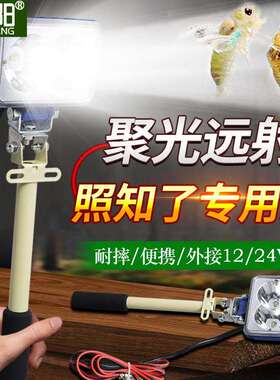强光手持探照灯便携超亮远射12V户外探险夜间作业照知了50WLED
