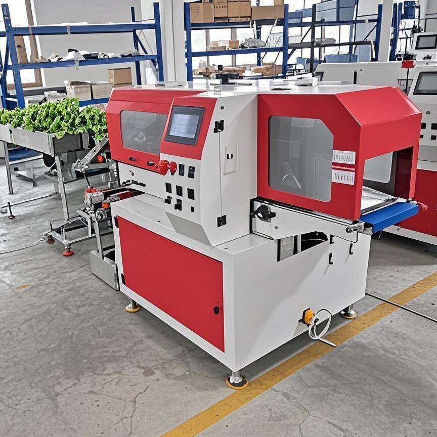 超市水果蔬菜背封袋封口包装机自动金针菇盒装多功能分装全自动