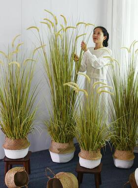 彷真绿色植物狗尾巴草假芦苇草落地盆栽装饰盆景室内客厅植物造景