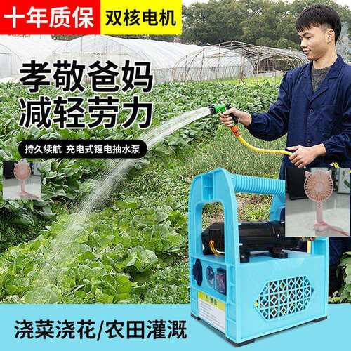 充电式抽水泵浇菜神器抽水机小型电动农用灌溉家用户外自吸浇水机