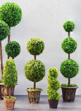 田园家居仿真植米兰草球盆栽大盆景套装YXF室内客摆植厅物绿装饰
