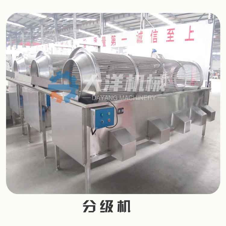 滚杠式土豆分级机新型西红柿分选设备不锈钢萝卜筛选机器现货供应