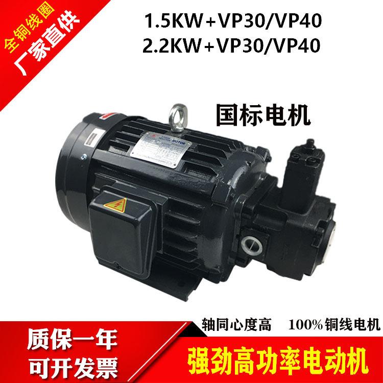 液压电机油泵组合0.75KW/1.5KW/2.2KW配VP20/30/40叶片泵电动总成图片