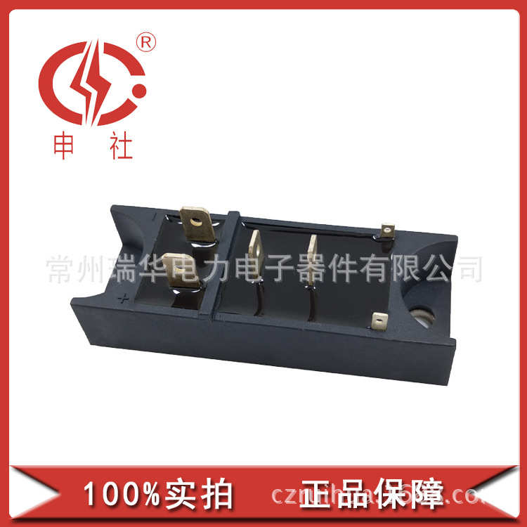 申社 常州瑞华全新30A 50A晶闸管/二极管模块MT/DFQ301629