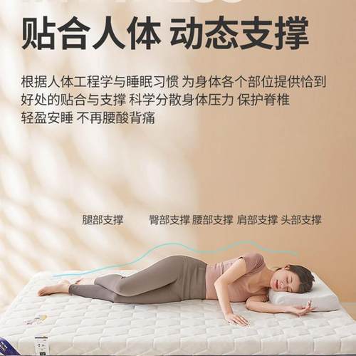 xKW可现垫做床垫软家用学生宿舍海单人租房榻垫子炕垫榻米宿Yeydx