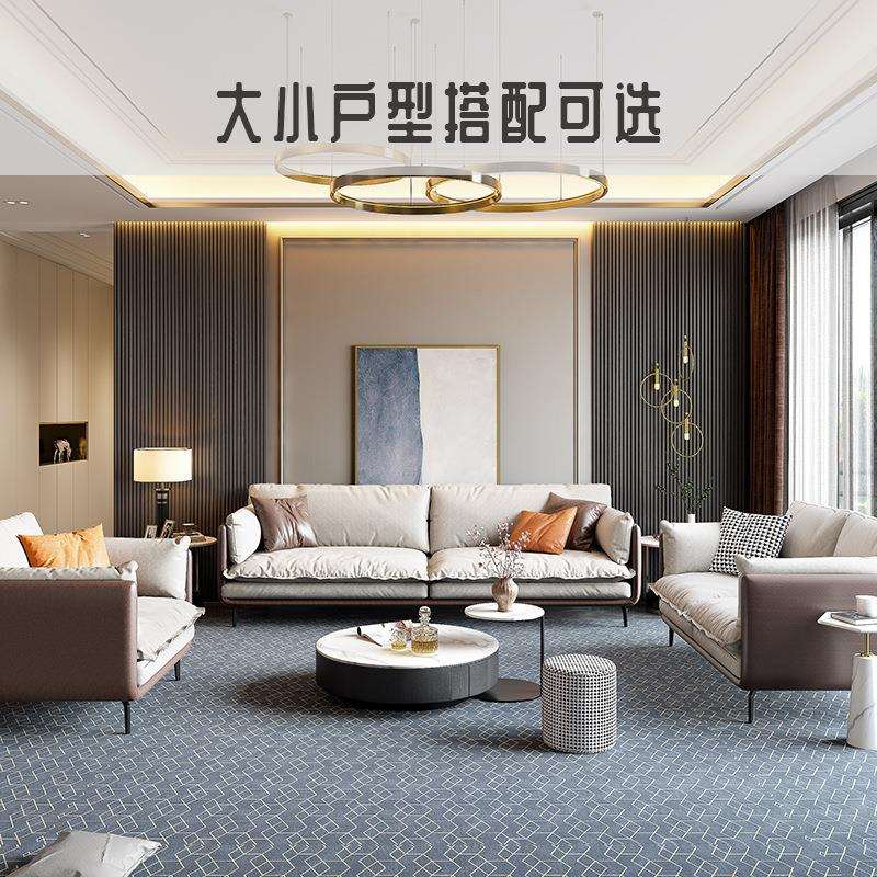 2021新款北欧负离子科技布沙发现代简约小户型直排单三人羽绒沙发