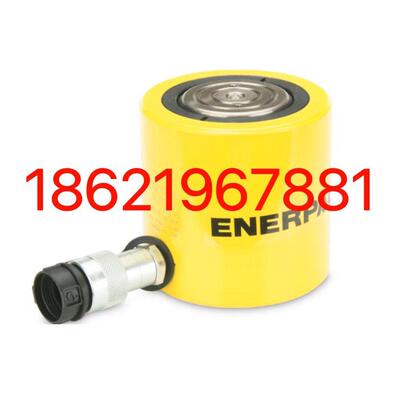 RCS502 ENERPAC薄型千斤顶RCS-1002超薄RCS302油缸RCS201恩派克