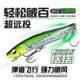 超钓SFT新款 14克海钓鲈鱼微物假饵水面远投翘嘴马口 摆摆铁板套装