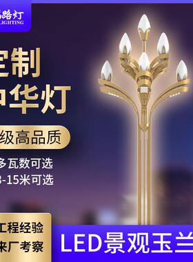 玉兰灯户外广场市政工程道路景观灯大型led八叉九火玉兰灯