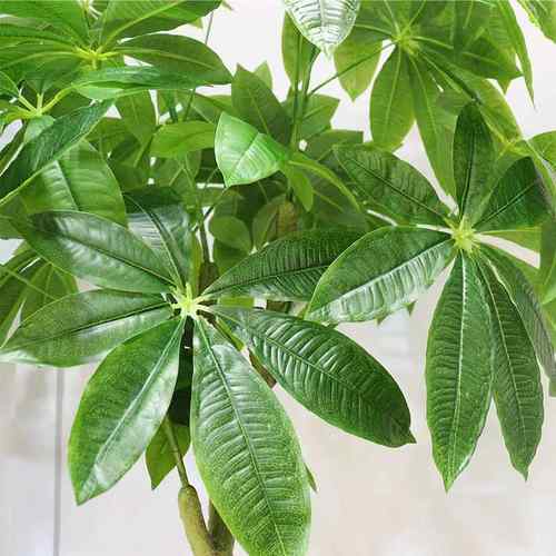仿真发财落树假办公室客厅装饰绿植假盆栽地仿FY-D058真绿树植盆