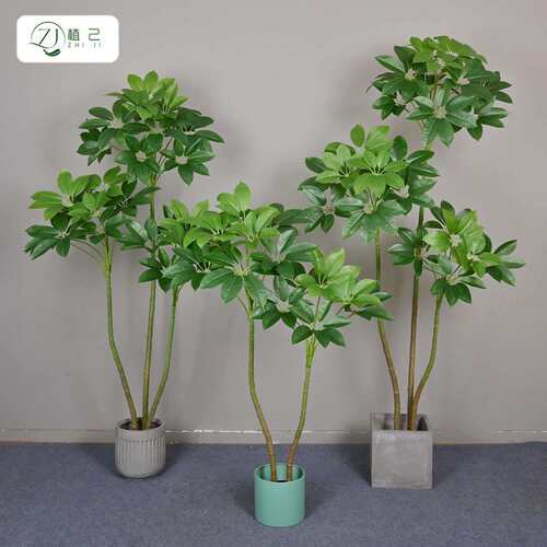 仿真树鸭脚木客厅大盆栽 加密保罗大叶伞绿植落地假树摆件大叶伞