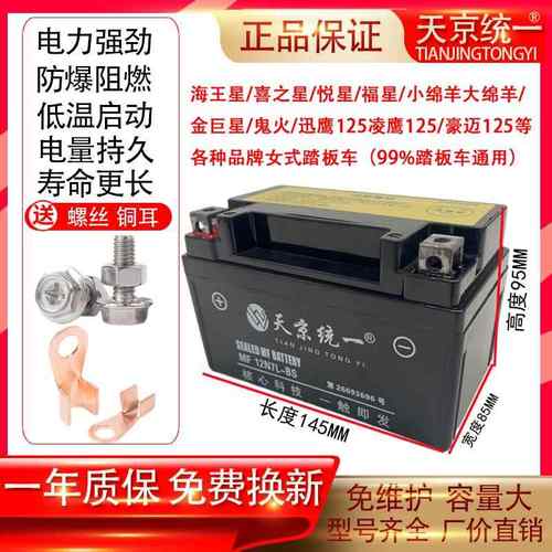 豪爵龙福星宇钻喜星悦星UU海王星UY豪迈女士125踏板摩托车电瓶12v