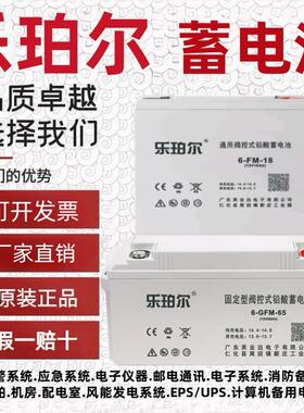 乐珀尔6-GFM-24电池LP12V17 33 24 38 40 65 80 100AH消防UPS电源
