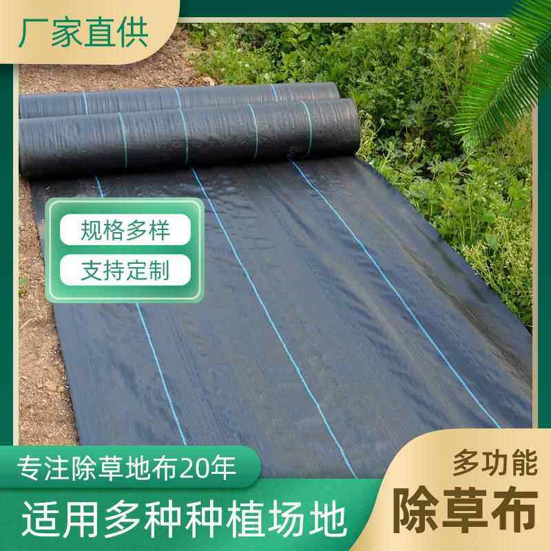 防草布农用加厚园艺除草地布盖草抑草地膜果树园林抗老化透气保湿
