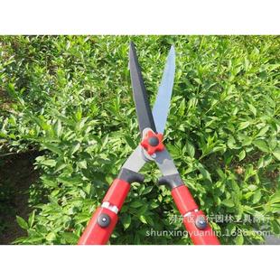 园林花木修剪绿篱剪伸缩大剪刀园艺绿化草坪修枝剪粗枝篱笆剪树枝