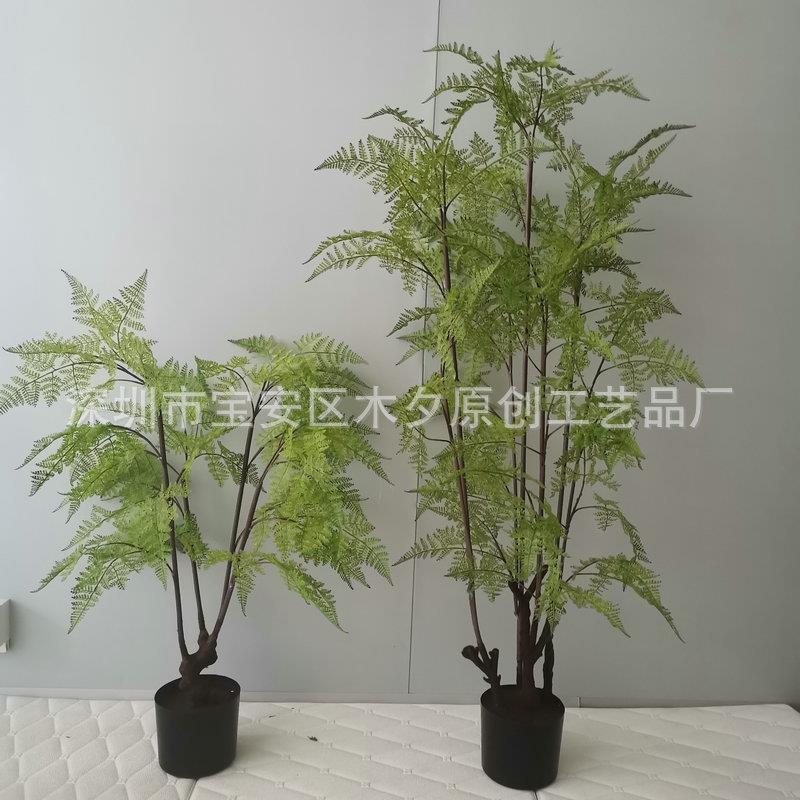 仿真波斯蕨植物马尾蕨北欧绿植蕨树布景装饰盆景仿真绿植盆栽