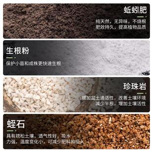 succulent Potting soil organic vegetable