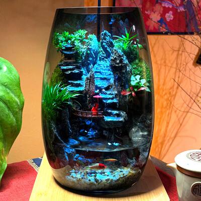 苔藓微景观云霞山流水款鱼缸造景生态瓶桌面水族箱室内装饰摆件