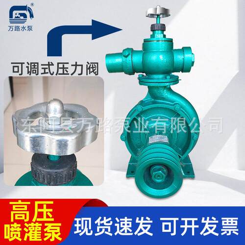 长距离送水压喷灌泵农用铸铁压抽水泵