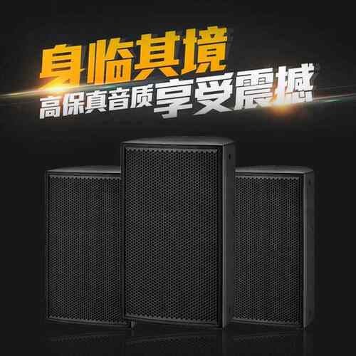 专业箱户外演出家庭舞台会议TVK功率大专业音响10717寸12寸高音保
