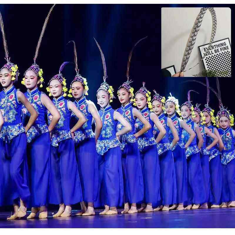 高档儿童小兰花旦国韵春舞蹈戏服花演出服俏小红娘表演服粉华墨春