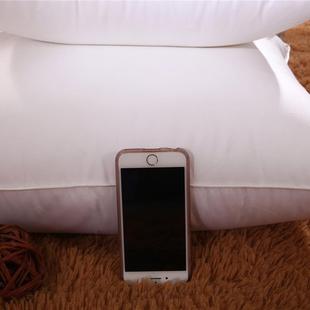 一到对装 70CM羽丝绒饱满 407 高档全棉抱枕0芯靠垫方枕芯头芯40