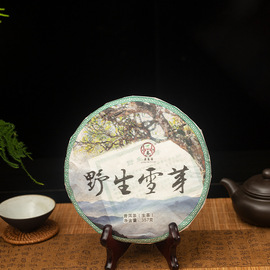 古树白芽孢(白芽孢)野生雪芽苞饼茶生茶饼，嫩芽早春普洱茶生茶357g饼1152