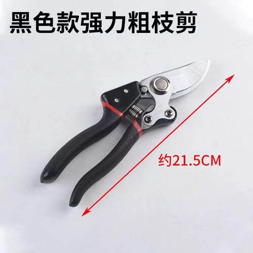 德国品质强力粗枝剪果树修枝剪园艺枝条家用树枝花木省力高枝锯