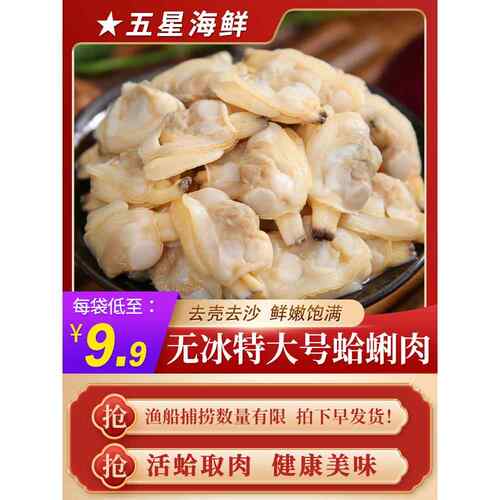 蛤蜊肉鲜活冷冻大花甲肉花蛤无冰无沙黄蚬子肉新鲜活剥非干货即食